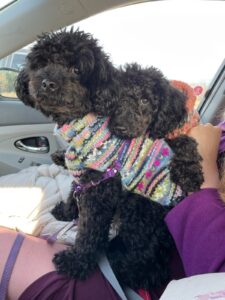 Embrace Autism | Social exhaustion in autistic adults | 6990DB0B 1A8D 4E24 8CBC 1605B8964C44