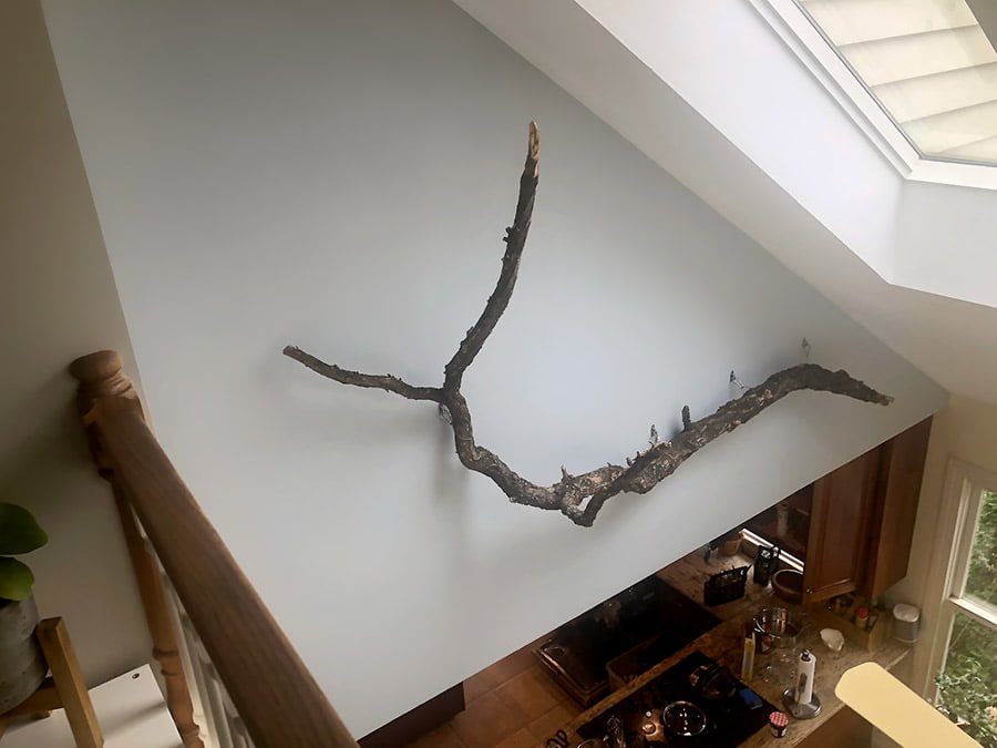 A branch hanging a wall on the second level that can be seen from the first.